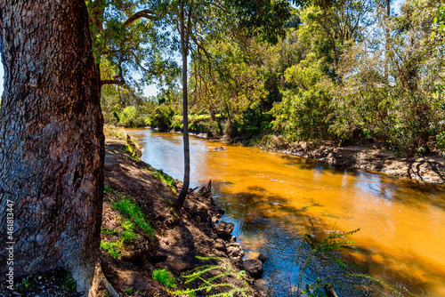 Trees and landscapes along the Blackwood River in the southwest of WA