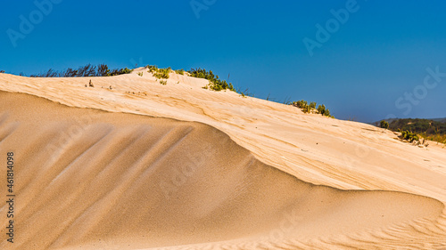 Rippled sand dunes at the Donnelly river mouth beach at Pemberton WA