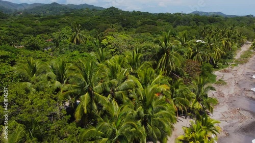 Wallpaper Mural palms and beautiful landcape. Outdoor adventure . Pacific sea . Water texture. Cinematic wild nature aerial 4K,Costa Rica beach. 4K.Untouched nature on sunny summer day Torontodigital.ca