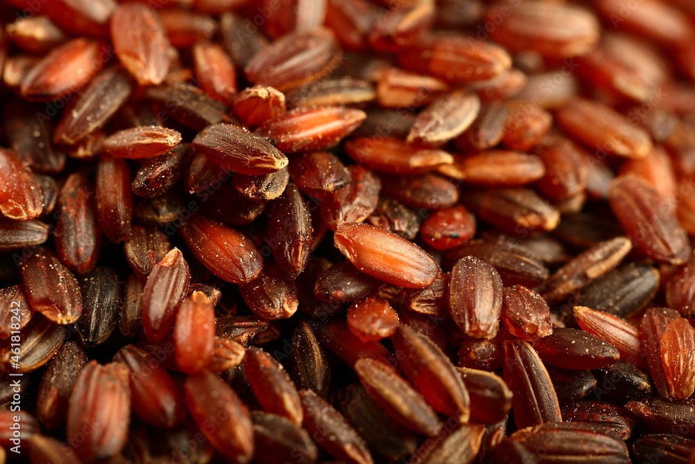 Close up, macro image of organic wild red, brown rice grains.