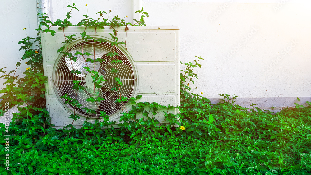 Air condition covered with vines beside the white wall Air condition covered with vines beside the white wall