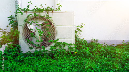 Air condition covered with vines beside the white wall