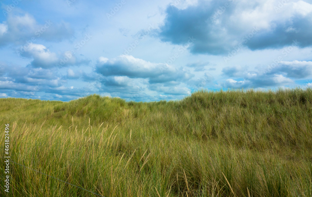 Summer landscape with view of slopes or small hilly with marram grass against cloudy sky. Dutch north sea coastline, De Koog, Texel Island, Noord Holland, Netherlands. Place for Text