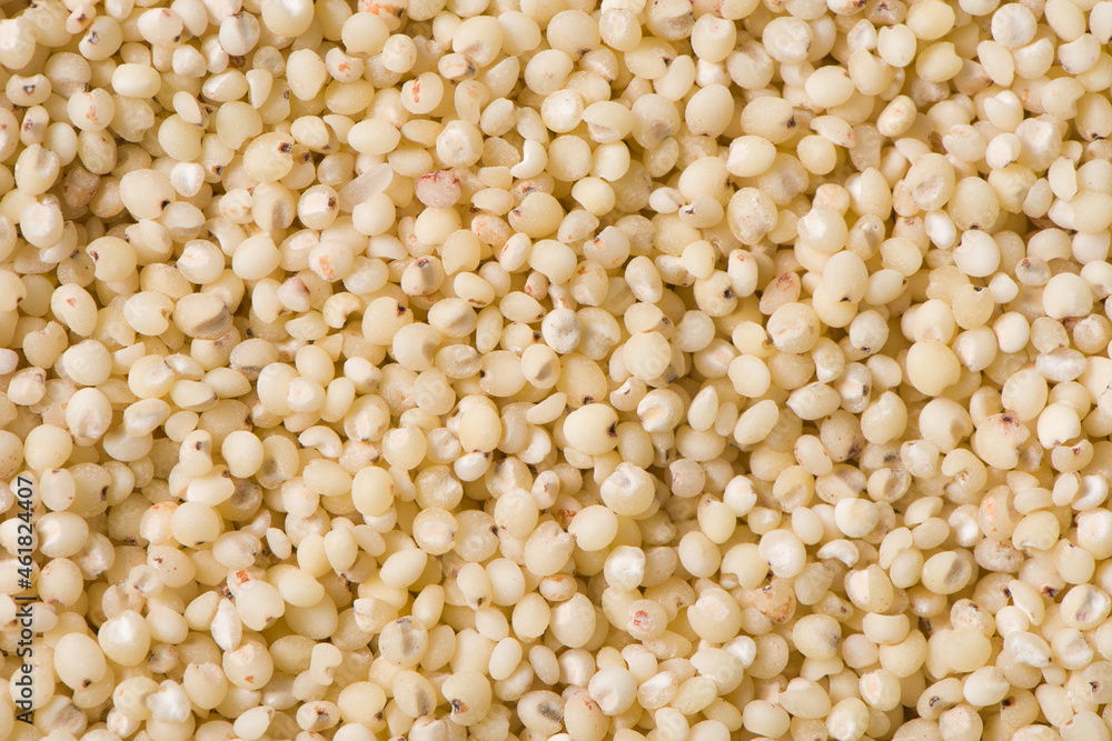 grain sorghum seed rice texture background. grain sorghum seed rice texture background.