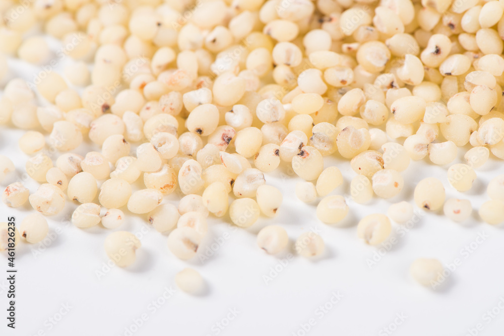 close up of grain sorghum seed rice