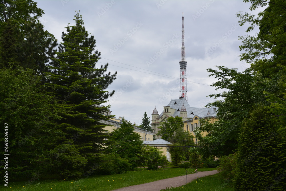 Obraz premium view of the park