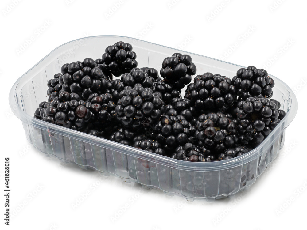 ripe blackberries in plastic bowl isolated on white background ripe blackberries in plastic bowl isolated on white background