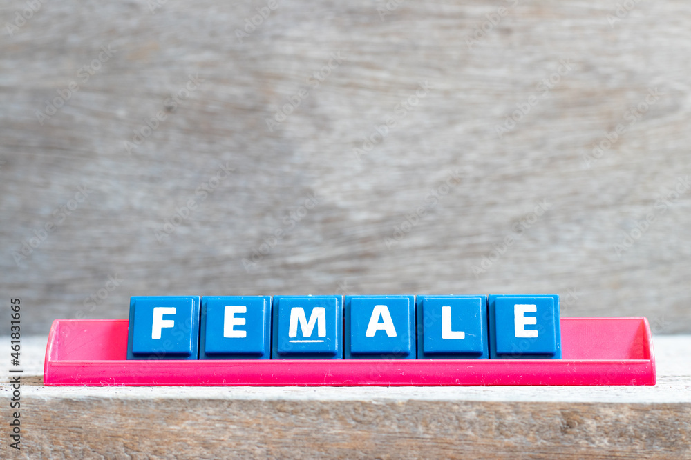 Tile letter on red rack in word female on wood background Tile letter on red rack in word female on wood background