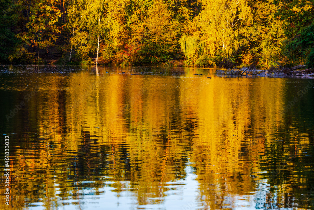 Fototapeta premium incredible autumn landscape with colorful leaves