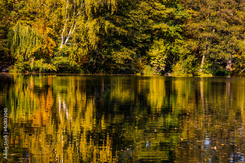 incredible autumn landscape with colorful leaves