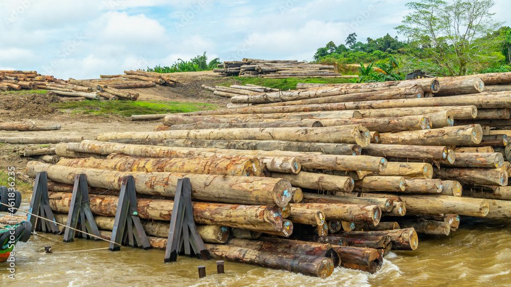 Timber loaded into big barge then drag by a tugboat cruising Mahakam River, Borneo, Indonesia Timber loaded into big barge then drag by a tugboat cruising Mahakam River, Borneo, Indonesia