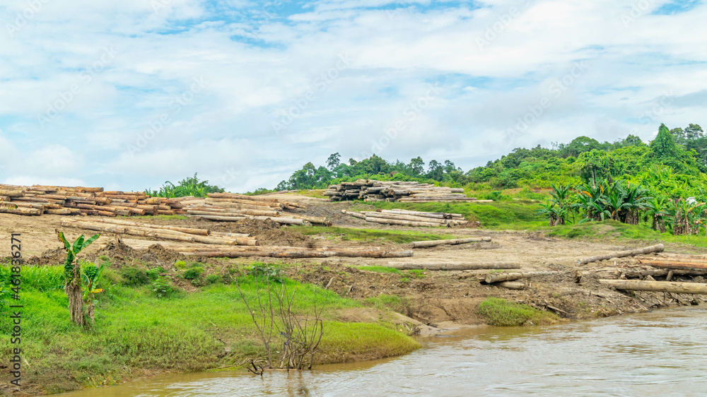 Log yard of tropical rainforest timber at Mahakam Riverbank, Borneo, Indonesia Log yard of tropical rainforest timber at Mahakam Riverbank, Borneo, Indonesia