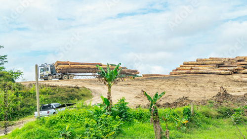 Log yard  of tropical rainforest timber at Mahakam Riverbank, Borneo, Indonesia photo