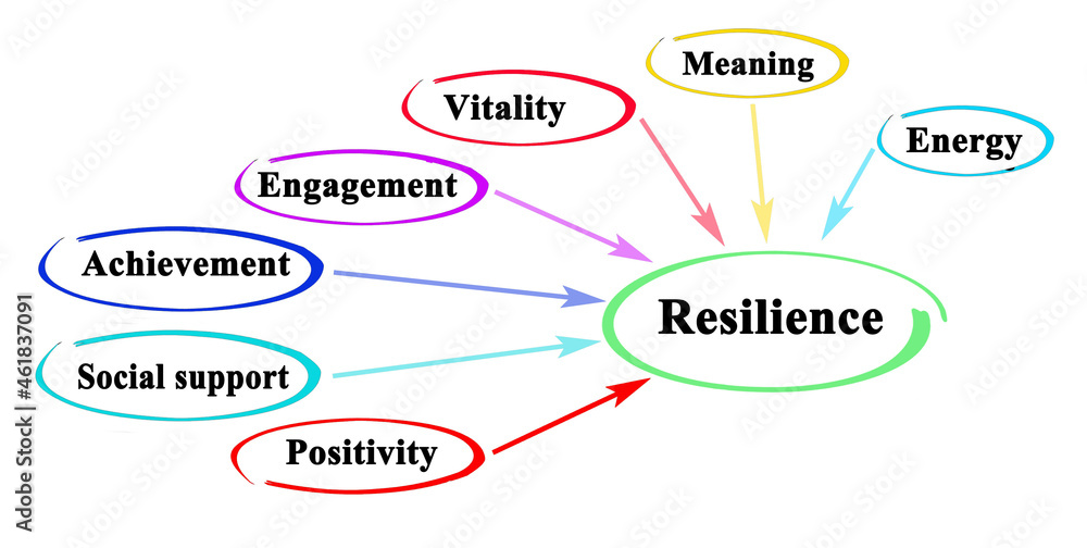 Seven drivers of resilience