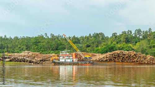 Timber loaded into big barge then drag by a tugboat cruising Mahakam River, Borneo, Indonesia photo