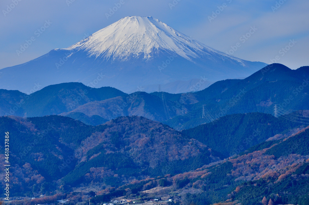 神奈川県秦野市　菜の花台より望む富士山
