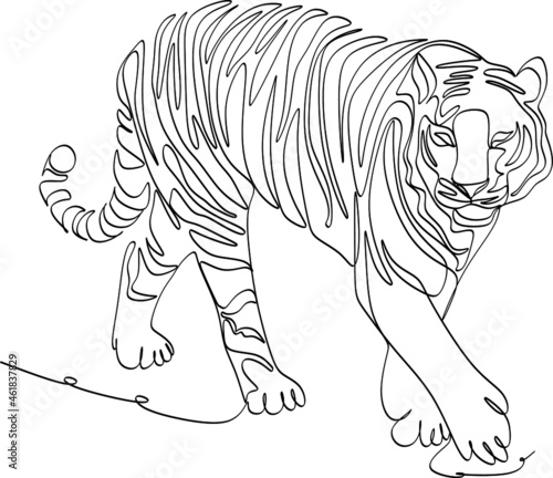 Obraz na plátně continuous one line One drawing of tiger wildlife Vector Illustration