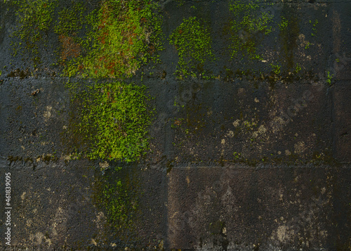Background of old brick wall with moss stains