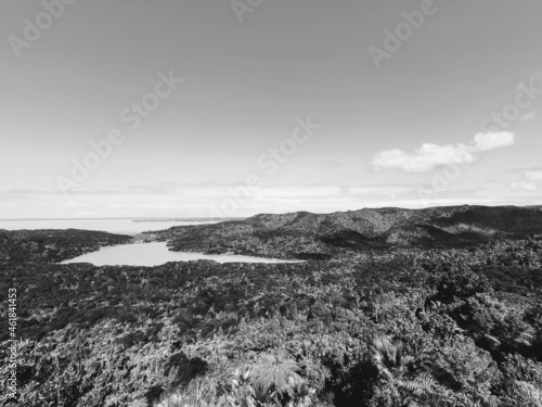 Black and White view from Arataki Reserve