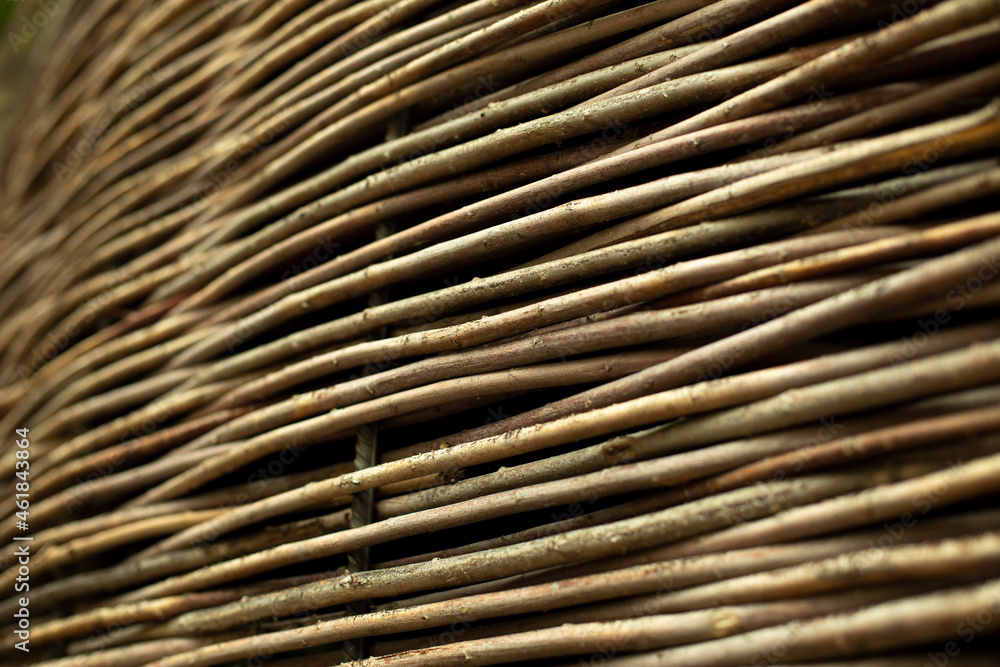 Wicker basket branches. Wicker basket branches.