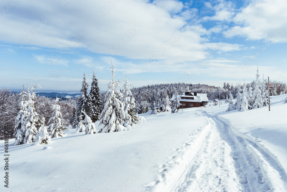 Obraz premium The view from the mountain glade to the snow-capped hills and forests, Beskids, Poland