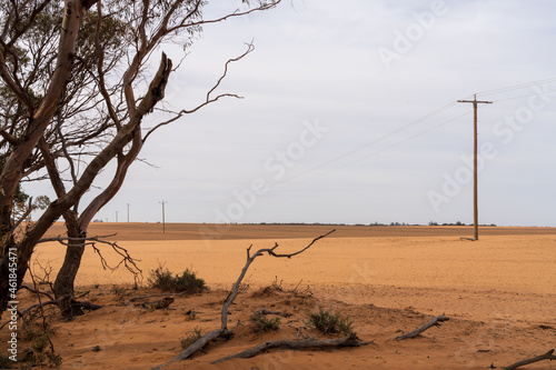 Powerlines fading off into the distance on the edge of a field in the desert.