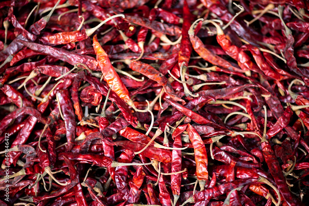 Dry red chili pepper as a background Dry red chili pepper as a background