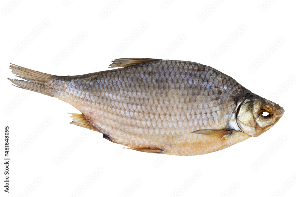 dry dried fish isolated on a white background