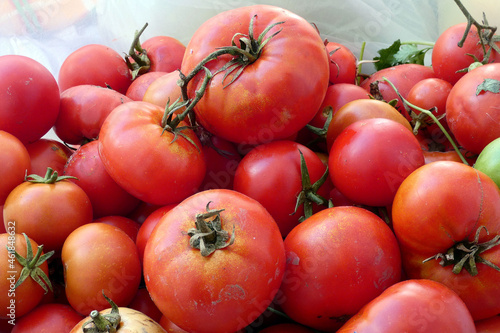 global warming and climate agreement  the production of vegetable products in the world is decreasing  tomato prices  tomato production is decreasing 