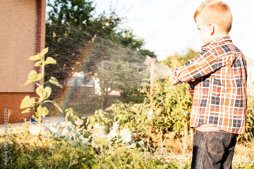 The boy enjoys a rainbow while watering in the garden The boy enjoys a rainbow while watering in the garden