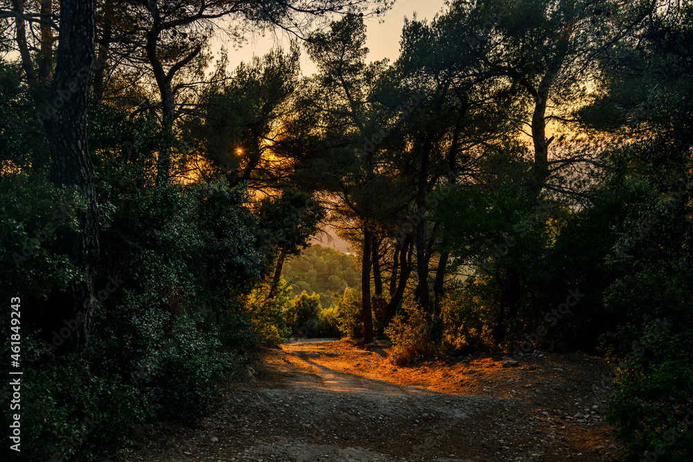 Fototapeta premium Golden sunset on the forest of Montagne Sainte-Victoire in Provence, France