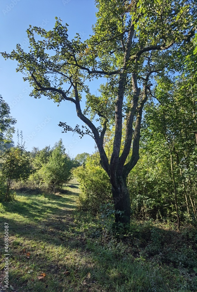 Autumn in the German Steigerwald