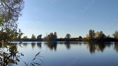 reflection of trees in lake