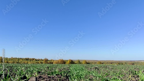field and sky