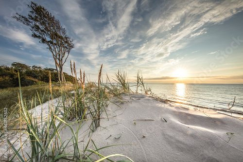 Fototapeta Naklejka Na Ścianę i Meble -  ostsee