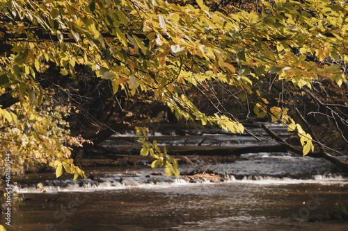 Potok jesienią roztocze Tanew