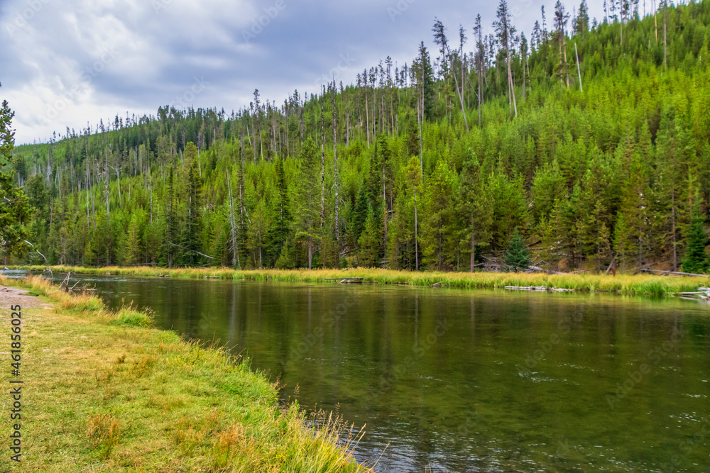 Peaceful view of Firehole River in Yellowstone National Park