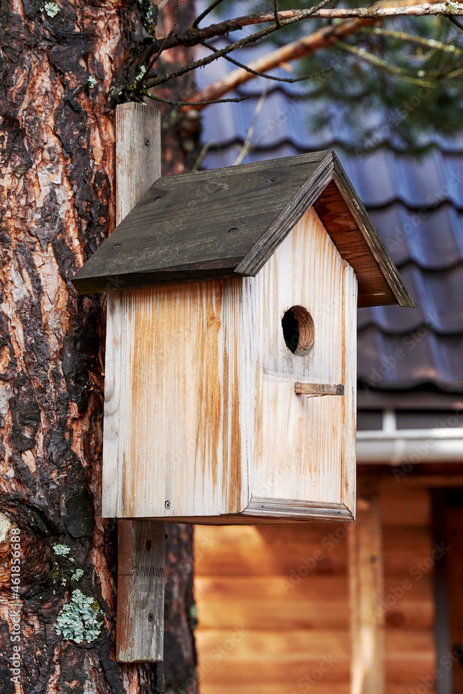 Rough handmade birdhouse on the tree in the garden. Animal themes backgrounds