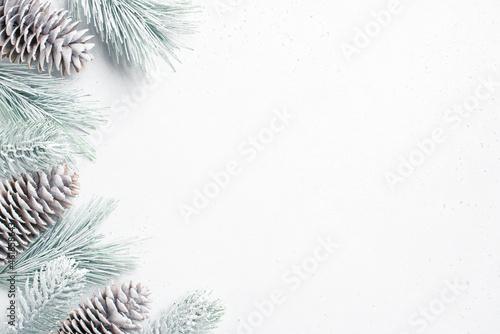 White Christmas background with frosted Christmas tree branches and fir cones