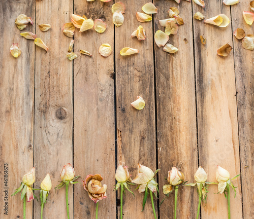 Getrocknete Rosen auf Untergrund aus Holz