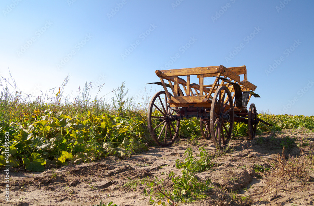 Old horse-drawn vehicle on a farming field. Old wooden and metal farm wagon or cart.