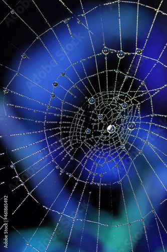 Close Up of a Spiders Cobweb on a Misty Dew Morning