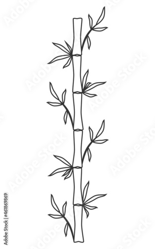Bamboo stem and leaves Black outline Hand drawn vector illustration Isolated on white background