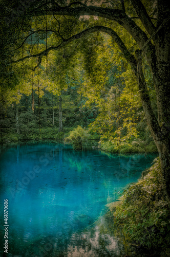 Fototapeta Naklejka Na Ścianę i Meble -  cicerem blue lake