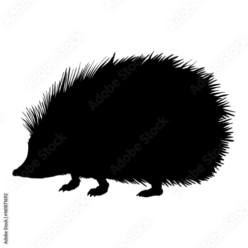 Hedgehog Silhouette Vector Illustration on White Background