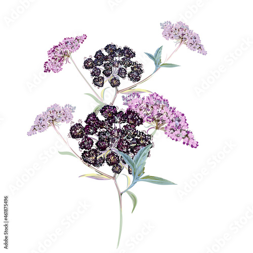 Floral vector illustration with wild flower in watercolor vintage style