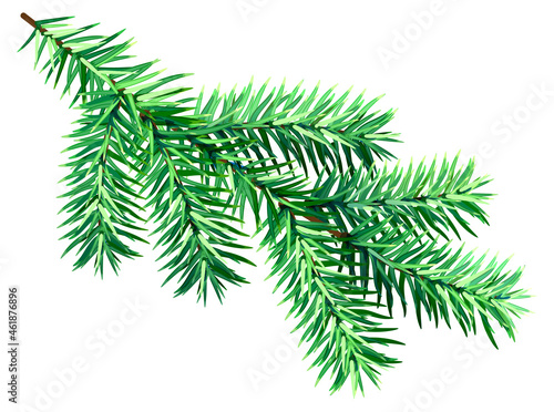 Green fir branch isolated on white background symbol of christmas and new year