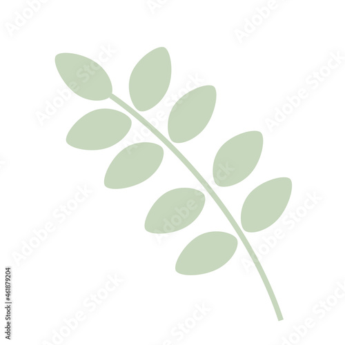 Green twig with leaves. Floral design elements. Perfect for wedding invitations, greeting cards, blogs, posters