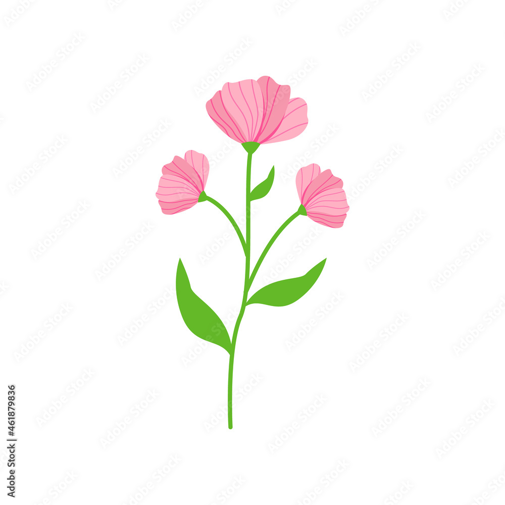 carnation flower vector illustration design on white background