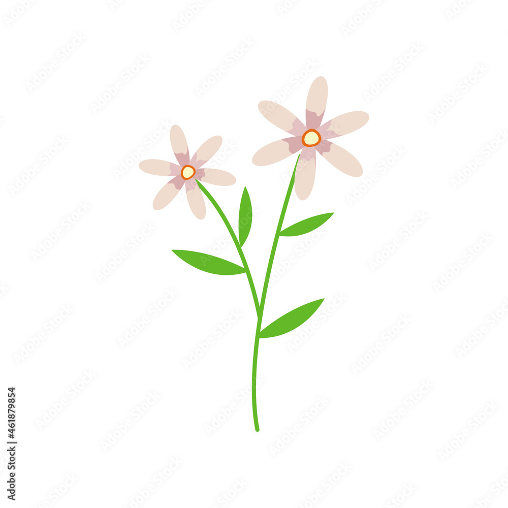 Obraz premium flower blossom vector illustration design on white background